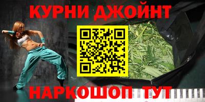 молекула духа Новозыбков