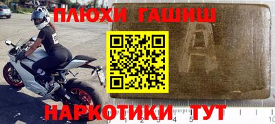 молекула духа Новозыбков