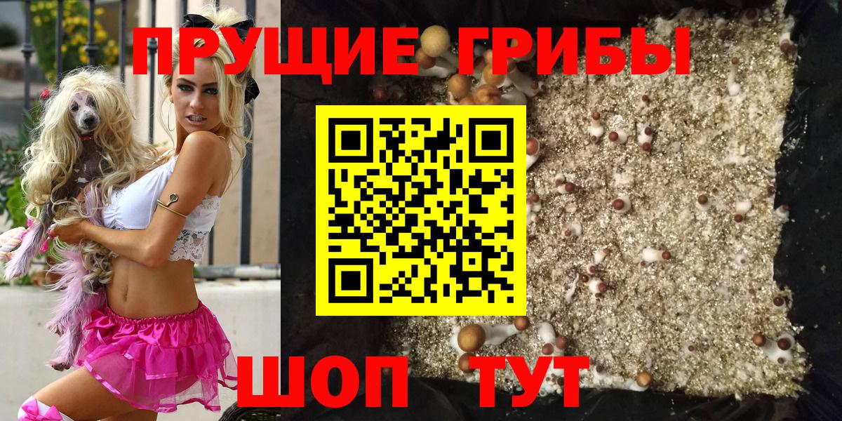 Галлюциногенные грибы Psilocybe Сланцы