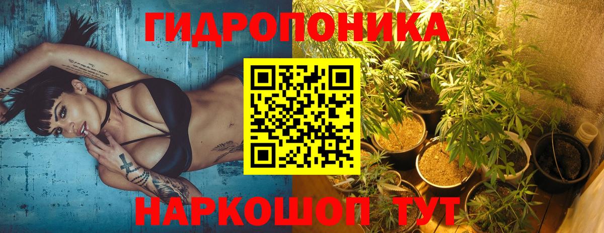 Бошки Шишки конопля  Канабис White Widow  Вход с VPN  Сланцы  Марихуана планчик 